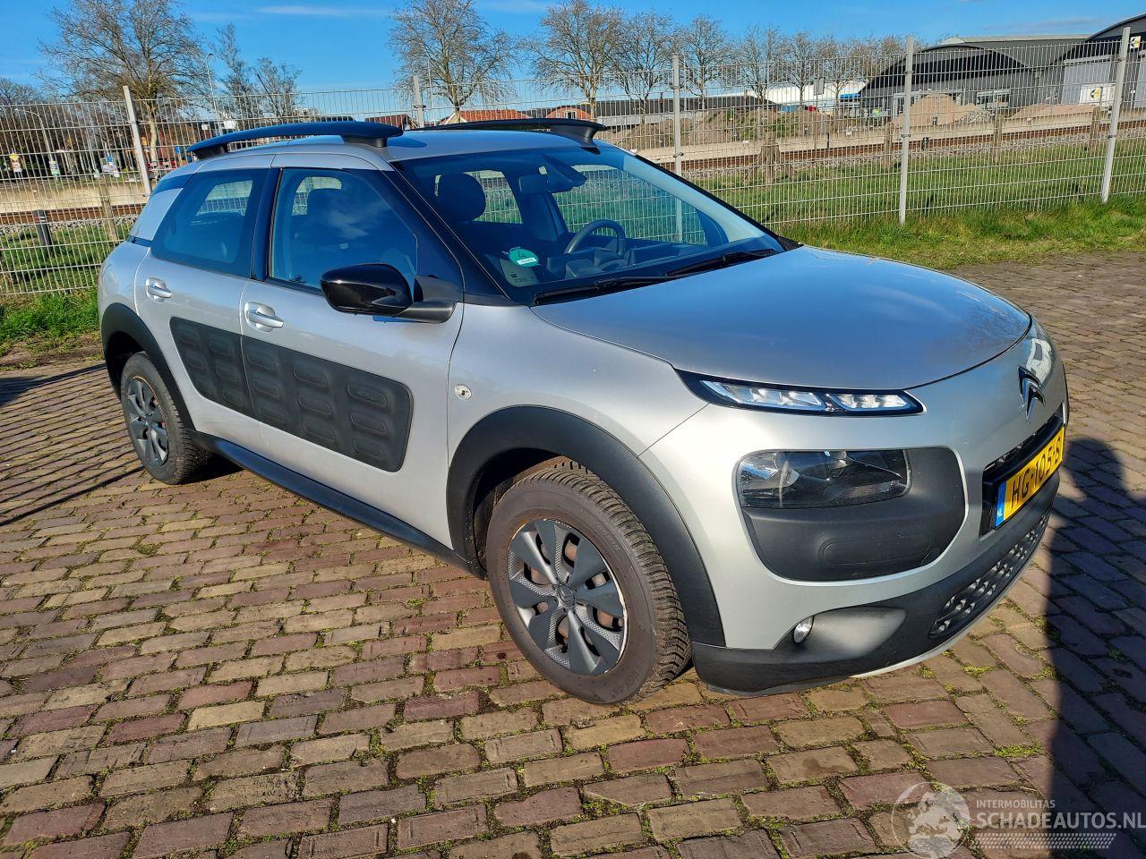 Citroën C4 cactus 1.6 Blue HDI Business Euro 6