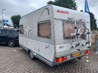 Dethleffs  Family 460 Mover Luifel picture 3