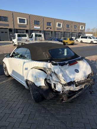Volkswagen Beetle Cabriolet picture 4