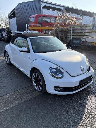Avarii autoturisme Volkswagen Beetle  2015/7