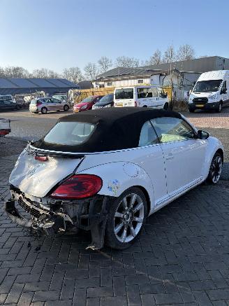 Volkswagen Beetle  picture 6