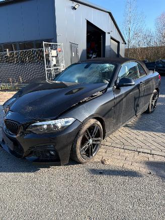 skadebil auto BMW 2-serie  2018/6