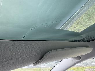 Tesla Model 3  picture 25