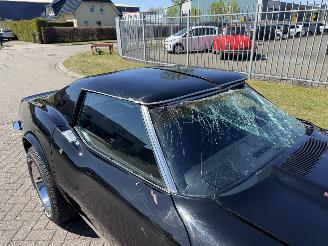 Corvette  STINGRAY 5.7 V8 Targa picture 27