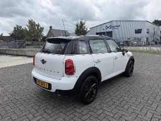 Mini Countryman 1.6 Cooper Edition Clima - Navi picture 3
