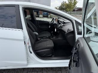 Ford Fiesta 1.0 EcoBoost Titanium X NAVI - CLIMA picture 17