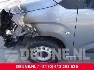 Opel Combo Combo Cargo, Van, 2018 1.5 CDTI 100 picture 30