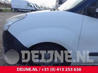 Opel Combo Combo, Van, 2012 / 2018 1.3 CDTI 16V ecoFlex picture 9
