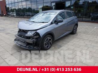 BYD Dolphin Dolphin, Hatchback 5-drs, 2021 60,4 kWh picture 3