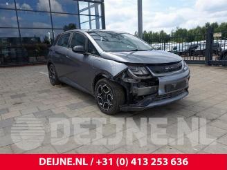 Salvage car BYD Dolphin Dolphin, Hatchback 5-drs, 2021 60 kWh 2024