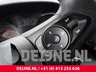Opel Combo Combo Cargo, Van, 2018 1.5 CDTI 75 picture 31
