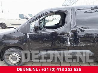 Opel Combo Combo Cargo, Van, 2018 1.5 CDTI 75 picture 13