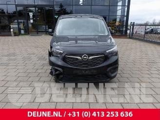Opel Combo Combo Cargo, Van, 2018 1.5 CDTI 75 picture 2