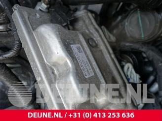 Ford Transit Transit Custom, Bus, 2024 2.0 EcoBlue 136 picture 11