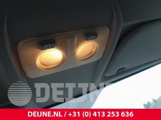 Fiat Doblo Doblo Cargo (263), Van, 2010 1.3 MJ 16V DPF Euro 5 picture 30