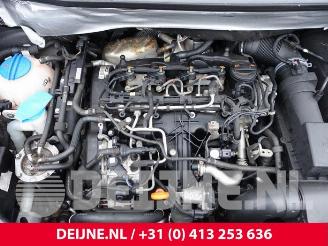 Volkswagen Caddy Caddy III (2KA,2KH,2CA,2CH), Van, 2004 / 2015 2.0 TDI 16V picture 11