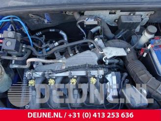 Fiat Doblo Doblo Cargo (223), Van, 2001 / 2010 1.6 16V picture 35
