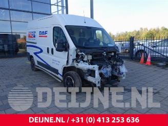 disassembly passenger cars Fiat Ducato Ducato (250), Van, 2006 2.3 D 130 Multijet 2019/6