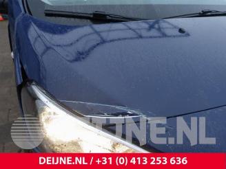 Peugeot Expert Expert (V1/VA/VB/VE/VF/VT/VY), Van, 2016 2.0 Blue HDi 120 16V picture 13