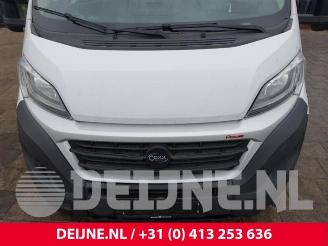 Fiat Ducato Ducato (250), Ch.Cab/Pick-up, 2006 2.3 D 180 Multijet picture 34