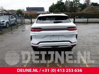 BYD SEAL Seal U, SUV, 2024 1.5 DM-I FWD picture 6