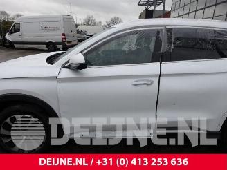 BYD SEAL Seal U, SUV, 2024 1.5 DM-I FWD picture 16