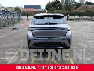 BYD Dolphin Dolphin, Hatchback 5-drs, 2021 60,4 kWh picture 6