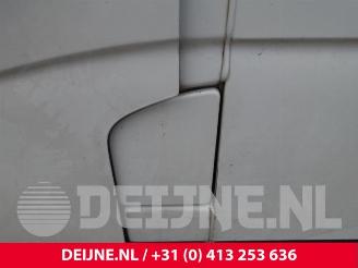 Renault Master Master III (MA/MB/MC/MD/MH/MF/MG/MH), Van, 2010 2.3 Energy dCi 180 Twin Turbo 16V FWD picture 17