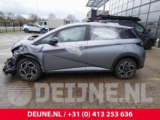 BYD Dolphin Dolphin, Hatchback 5-drs, 2021 60,4 kWh picture 4