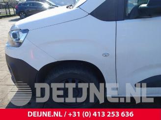 Citroën Berlingo Berlingo, Van, 2018 1.5 BlueHDi 130 picture 9