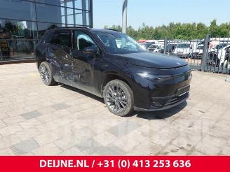 demontáž osobní automobily Leapmotor C10 C10, SUV, 2020 69.9 kWh 2025/4