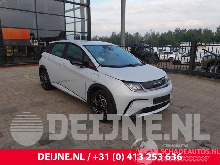 BYD Dolphin Dolphin, Hatchback 5-drs, 2021 60,4 kWh
