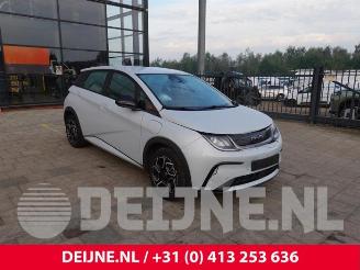 Purkuautot passenger cars BYD Dolphin Dolphin, Hatchback 5-drs, 2021 60,4 kWh 2024/4