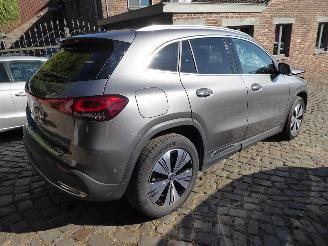 Mercedes EQA 250 picture 5