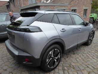 Peugeot 2008 e- Allure picture 7