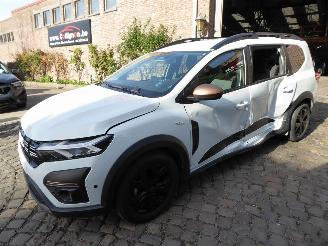 Avarii autoturisme Dacia Jogger Extreme 2024/6