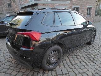 Skoda Kamiq  picture 4