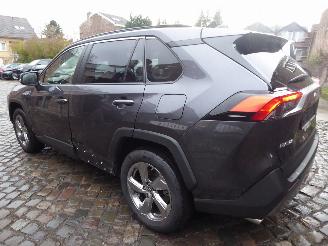 Toyota Rav-4 2.5 Hybrid Style Selection Auto picture 7