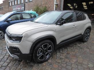 Avarii autoturisme Jeep Avenger Summit Electric 2024/7