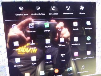 Tesla Model X Performance Dual picture 34