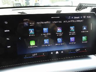 BMW X1 25 e xDrive picture 24