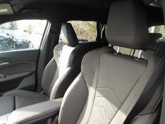 BMW X1 25 e xDrive picture 10