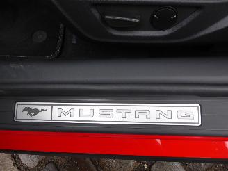 Ford Mustang Fastback 5.0 Ti-VCT V8 328 kW GT picture 14