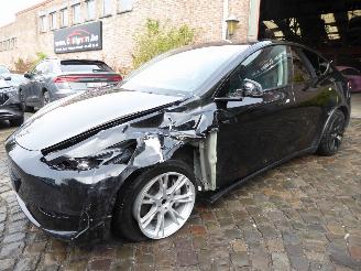 Auto incidentate Tesla Model Y  2024/1