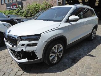 damaged passenger cars Skoda Karoq Style 2024/1