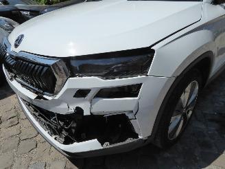 Skoda Karoq Style picture 2