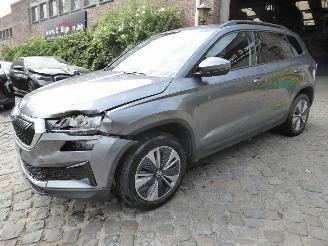 Vaurioauto  passenger cars Skoda Karoq Ambition 2024/1