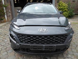 Hyundai Kona Twist picture 3