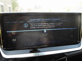 Peugeot 2008 Hybrid Active picture 21