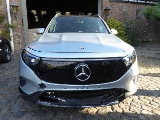 Mercedes EQB 250+ picture 2